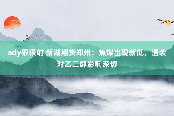 ady狠狠射 新湖期货郑州：焦煤出现新低，遇袭对乙二醇影响深切