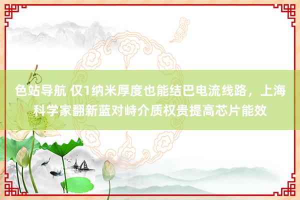 色站导航 仅1纳米厚度也能结巴电流线路，上海科学家翻新蓝对峙介质权贵提高芯片能效