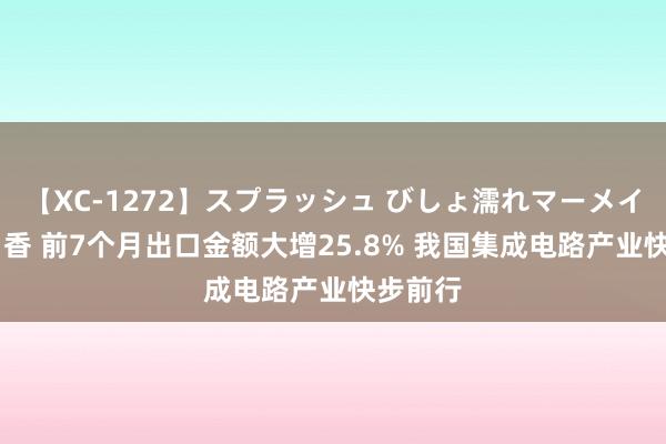 【XC-1272】スプラッシュ びしょ濡れマーメイド 明日香 前7个月出口金额大增25.8% 我国集成电路产业快步前行