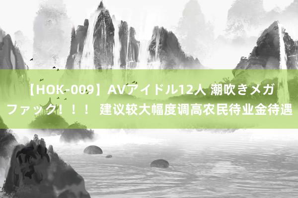 【HOK-009】AVアイドル12人 潮吹きメガファック！！！ 建议较大幅度调高农民待业金待遇