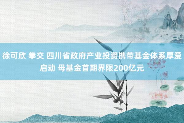 徐可欣 拳交 四川省政府产业投资携带基金体系厚爱启动 母基金首期界限200亿元