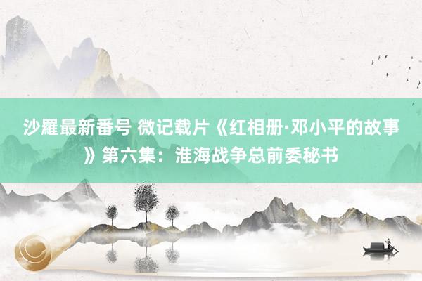 沙羅最新番号 微记载片《红相册·邓小平的故事》第六集：淮海战争总前委秘书