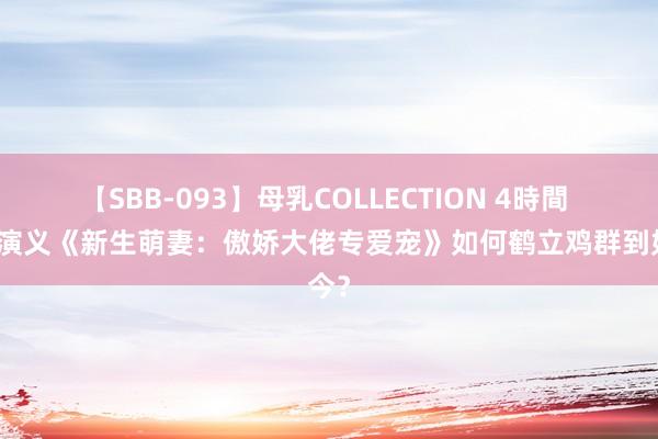 【SBB-093】母乳COLLECTION 4時間 言情演义《新生萌妻：傲娇大佬专爱宠》如何鹤立鸡群到如今？