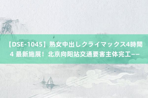 【DSE-1045】熟女中出しクライマックス4時間 4 最新施展！北京向阳站交通要害主体完工——