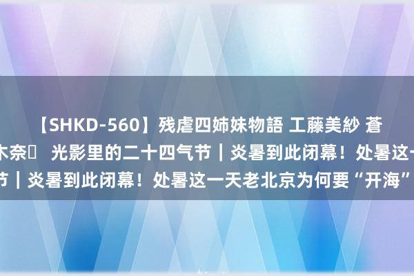 【SHKD-560】残虐四姉妹物語 工藤美紗 蒼井さくら 中谷美結 佐々木奈々 光影里的二十四气节｜炎暑到此闭幕！处暑这一天老北京为何要“开海”？