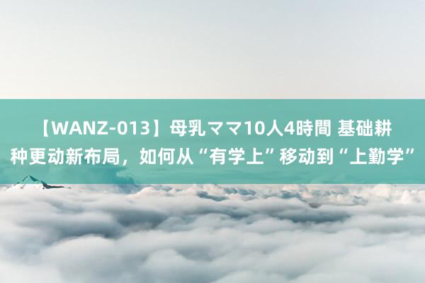 【WANZ-013】母乳ママ10人4時間 基础耕种更动新布局，如何从“有学上”移动到“上勤学”