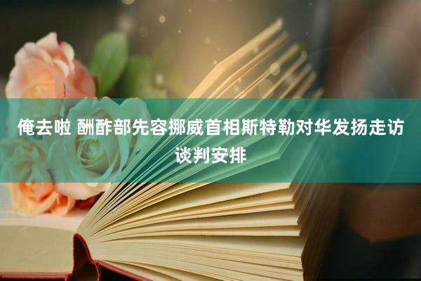 俺去啦 酬酢部先容挪威首相斯特勒对华发扬走访谈判安排