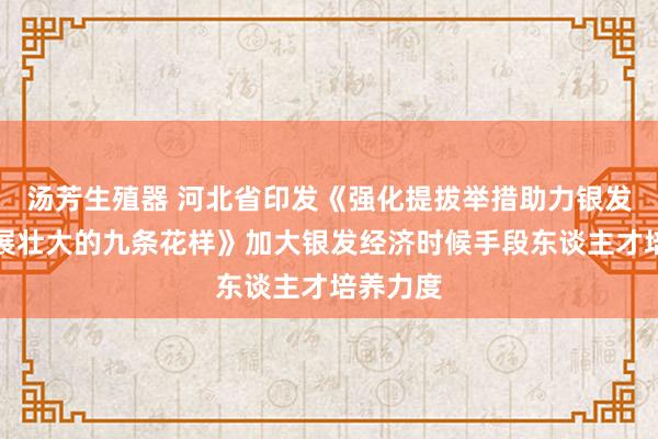 汤芳生殖器 河北省印发《强化提拔举措助力银发经济发展壮大的九条花样》加大银发经济时候手段东谈主才培养力度