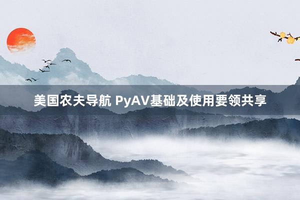 美国农夫导航 PyAV基础及使用要领共享