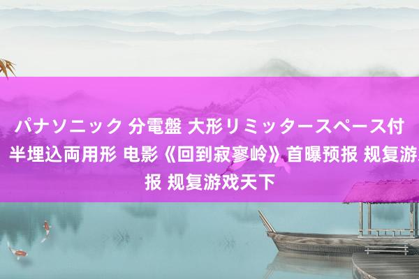 パナソニック 分電盤 大形リミッタースペース付 露出・半埋込両用形 电影《回到寂寥岭》首曝预报 规复游戏天下