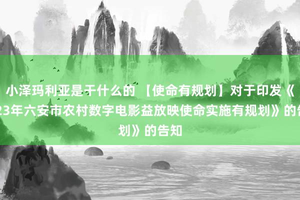 小泽玛利亚是干什么的 【使命有规划】对于印发《2023年六安市农村数字电影益放映使命实施有规划》的告知