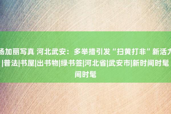 汤加丽写真 河北武安：多举措引发“扫黄打非”新活力|普法|书屋|出书物|绿书签|河北省|武安市|新时间时髦