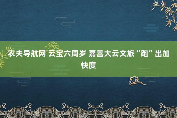 农夫导航网 云宝六周岁 嘉善大云文旅“跑”出加快度