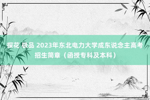 探花 极品 2023年东北电力大学成东说念主高考招生简章（函授专科及本科）