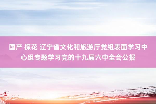 国产 探花 辽宁省文化和旅游厅党组表面学习中心组专题学习党的十九届六中全会公报