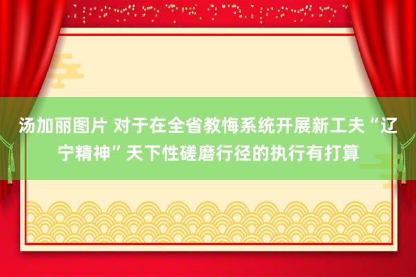 汤加丽图片 对于在全省教悔系统开展新工夫“辽宁精神”天下性磋磨行径的执行有打算