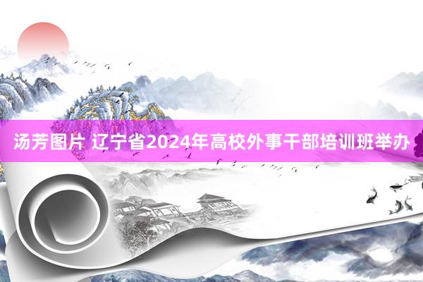 汤芳图片 辽宁省2024年高校外事干部培训班举办