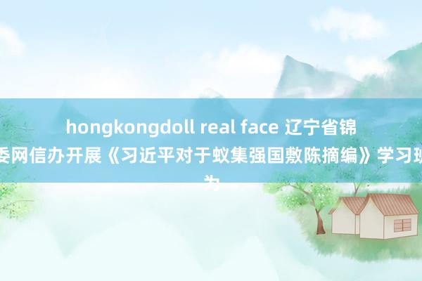 hongkongdoll real face 辽宁省锦州市委网信办开展《习近平对于蚁集强国敷陈摘编》学习班行为