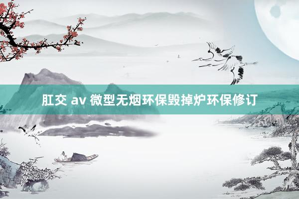 肛交 av 微型无烟环保毁掉炉环保修订